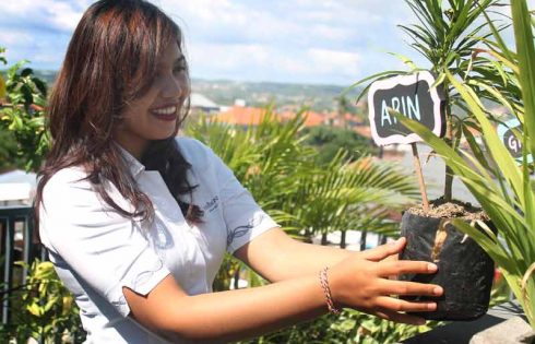 Menabung Tanaman di Atap Hotel