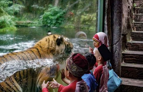 Kenali Satwa Sejak Dini