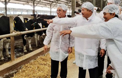 Kemitraan Industri Olahan Susu Pacu Suplai Bahan Baku 41 Persen di 2021