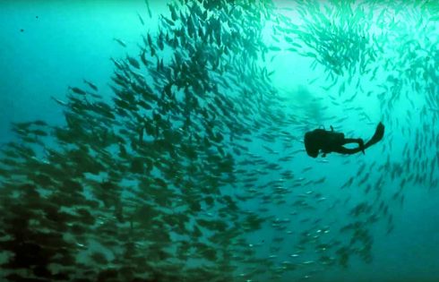 Dukung Indonesia Raih DIVE Travel Awards 2017