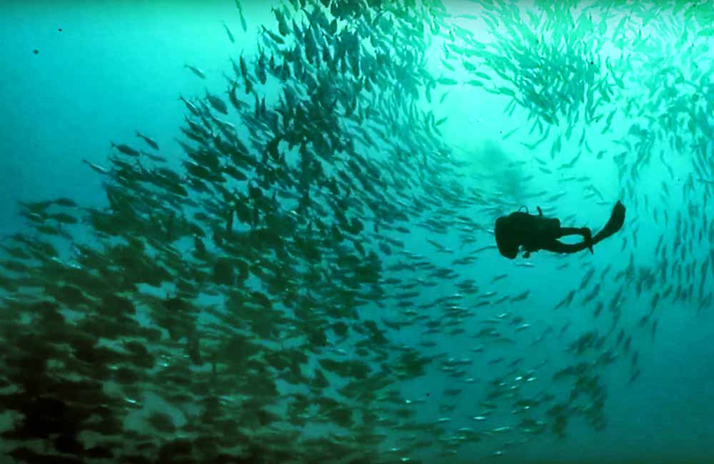 Dukung Indonesia Raih DIVE Travel Awards 2017