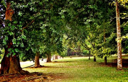 Presiden Jokowi Tanda Tangani Prasasti 2 Abad Kebun Raya Bogor