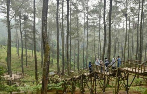 Orchid Forest Bandung, Makin Cantik dan Romantis