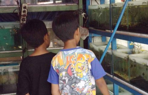 Liburan Hemat di Pasar Ikan Hias Gunungsari