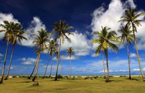 TCC Kemenpar Ajak Masyarakat Waspadai Gelombang Tinggi