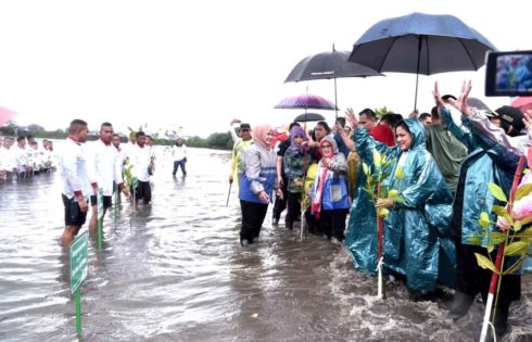 Ibu Negara Tanam Mangrove di Pandeglang