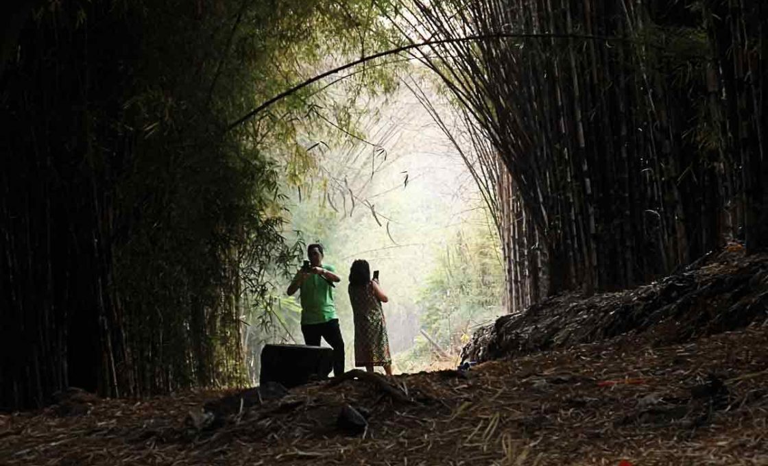 Senyum Menghampar di Hutan Bambu