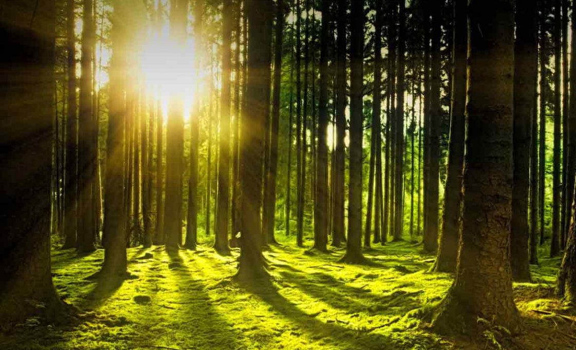 LIPI : Ozon Nanomist, Solusi Disinfektan Nonkimia