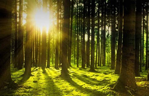 LIPI : Ozon Nanomist, Solusi Disinfektan Nonkimia