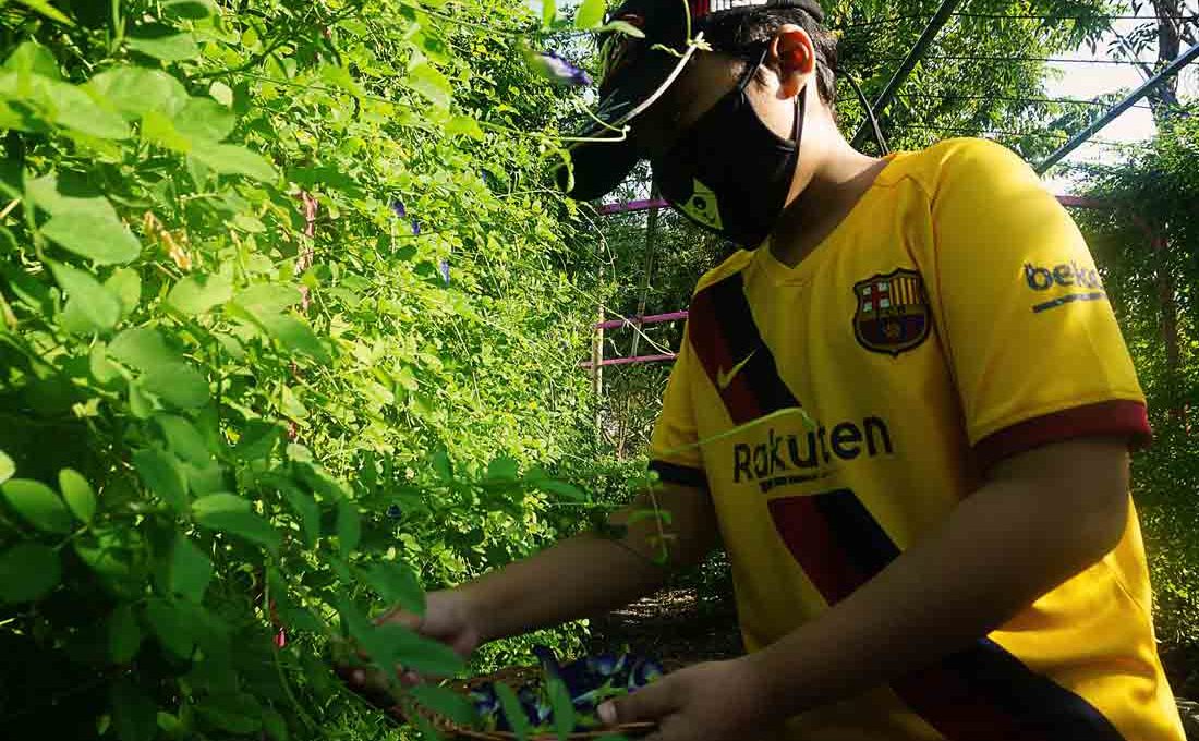 Imaji Menari di Kampung Telang Penjaringan