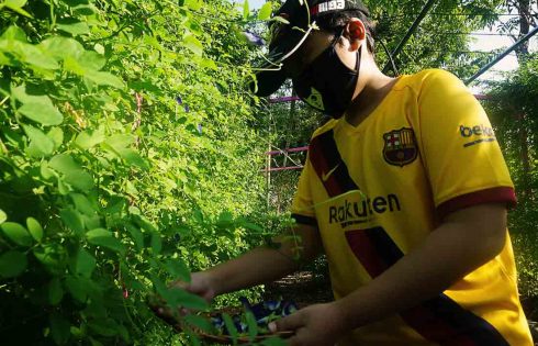 Imaji Menari di Kampung Telang Penjaringan