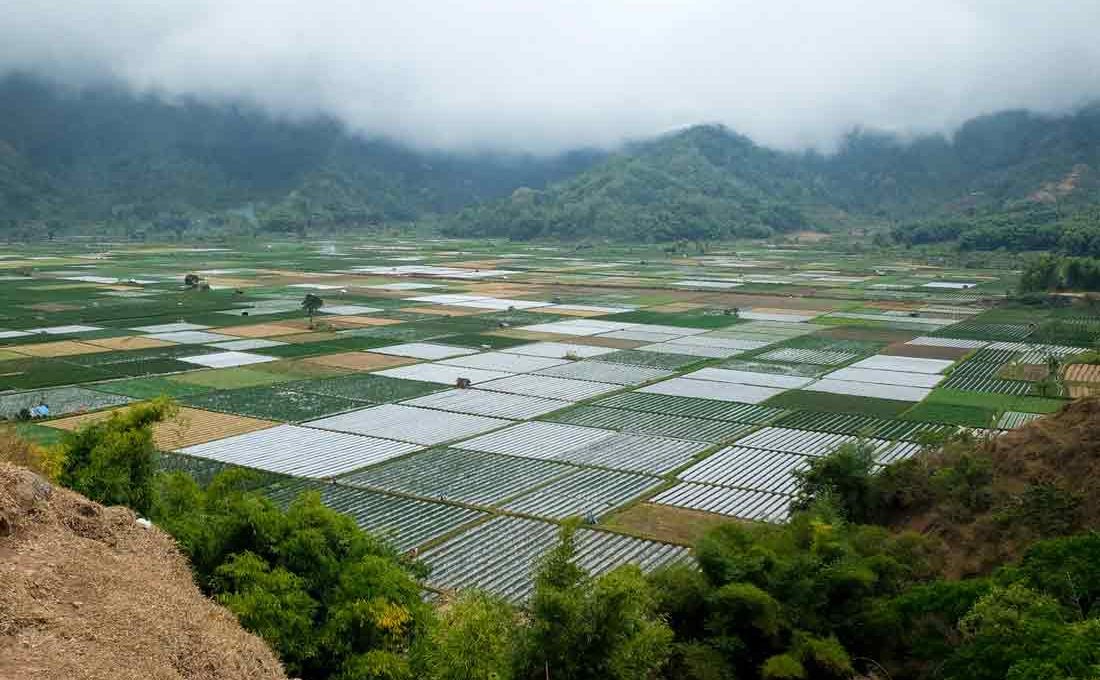 Perkuat Program Agro-solution, Pupuk Indonesia Gandeng Bulog