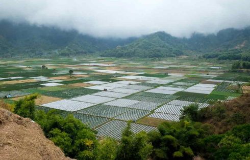 Perkuat Program Agro-solution, Pupuk Indonesia Gandeng Bulog