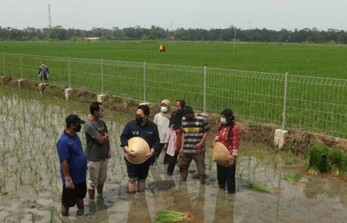 Menteri BUMN Puji Kolaborasi BUMN Bangun Ketahanan Pangan dan Wirausaha Petani