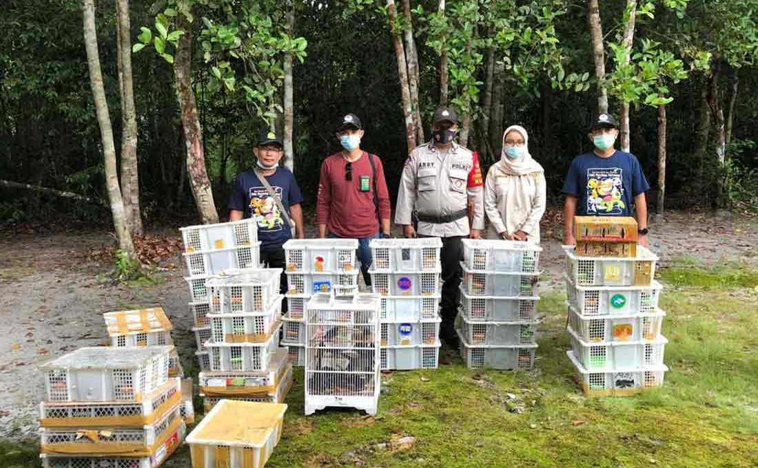 BKSDA Kalimantan Tengah Gagalkan Pengiriman Ribuan Burung Illegal
