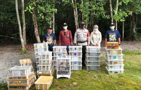 BKSDA Kalimantan Tengah Gagalkan Pengiriman Ribuan Burung Illegal