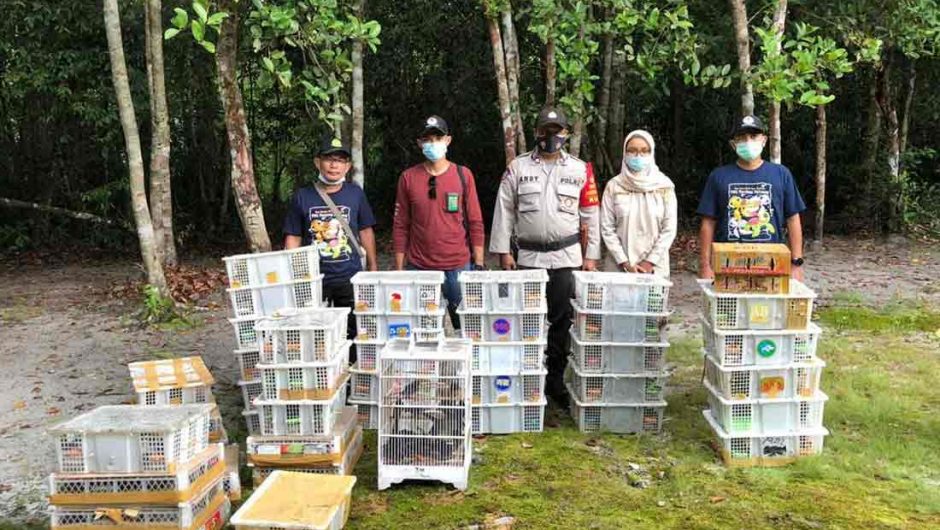 BKSDA Kalimantan Tengah Gagalkan Pengiriman Ribuan Burung Illegal