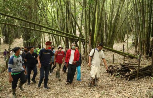 Nama Ganjar Diusulkan Jadi Nama Bukit Hutan Bambu di Bali