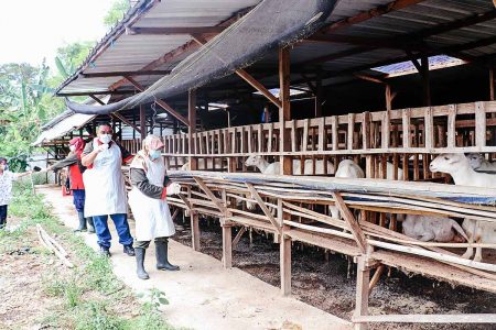 YDSF Siap Distribusikan 27 Ton Daging Kurban ke Pelosok Nusantara