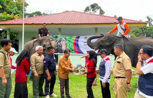 HK Peduli Lingkungan, Hutama Karya Pasang GPS Collar untuk Pantau Pergerakan Gajah di Tol Pekanbaru