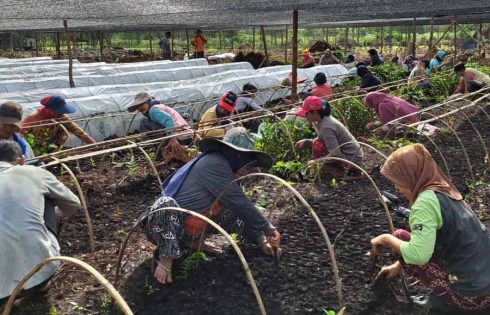 PHR Regional Sumatera Realisasikan Program Penanaman Pohon dalam Rangka Rehabilitasi DAS