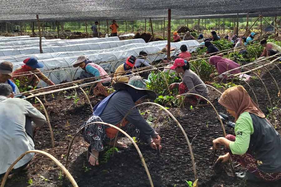 PHR Regional Sumatera Realisasikan Program Penanaman Pohon dalam Rangka Rehabilitasi DAS