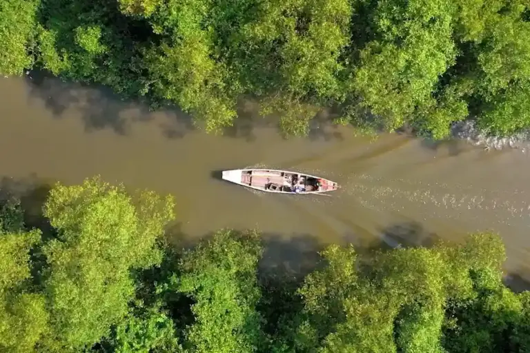 Kebun Raya Mangrove Surabaya Jadi Rumah 74 Spesies Mangrove dan Satwa Liar, Bukti Ekosistem Tetap Terjaga Kebun Raya Mangrove Surabaya