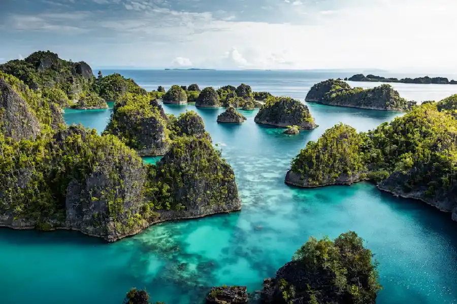 Pesona Raja Ampat Tetap Menjadi Destinasi Wisata Bahari Favorit Wisatawan Domestik dan Mancanegara Raja Ampat menawarkan keindahan alam bawah laut kelas dunia yang terus menarik wisatawan dari berbagai negara.